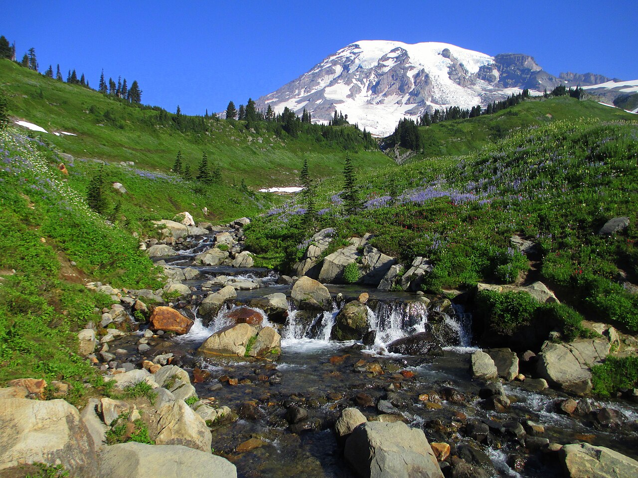 Paradise & Myrtle Falls